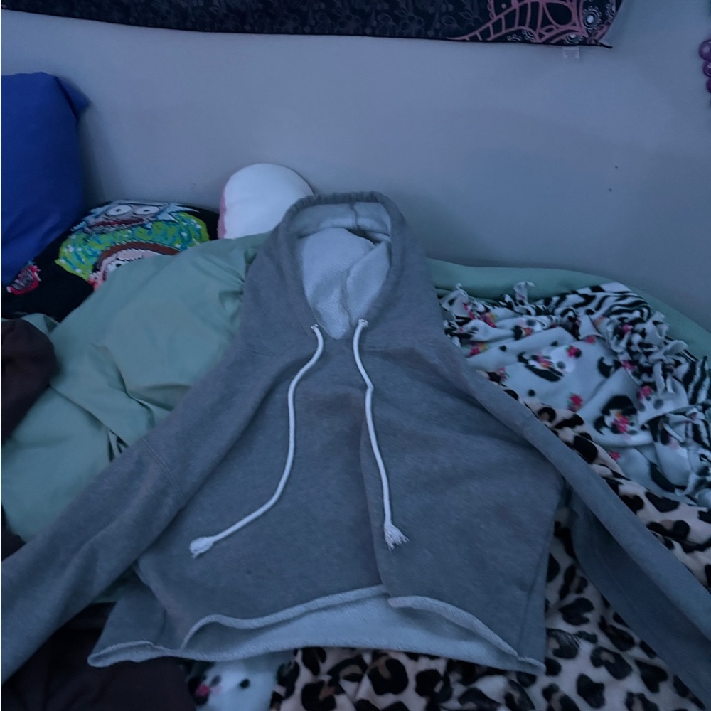 Wild Fable Soft Gray Hoodie